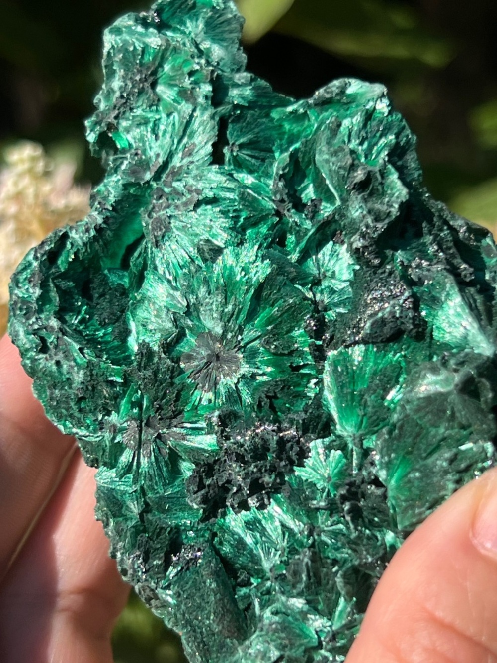 Malachite (10) specimen with stand | Crystal
